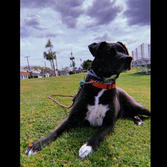 Threads of Violet - Picture 10 of 16